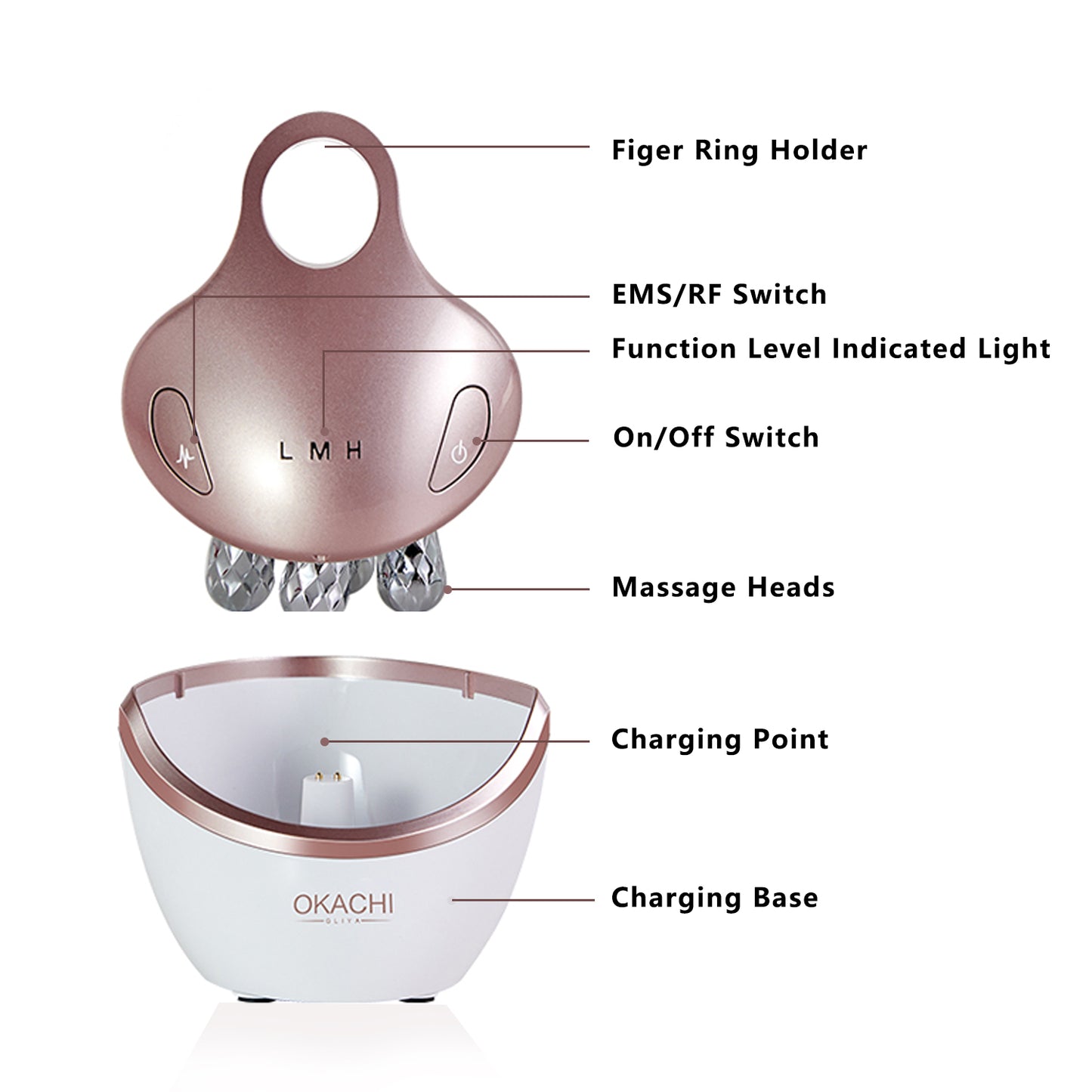 5 in 1 Handheld Face Massager with 5 Light Photo Therapy