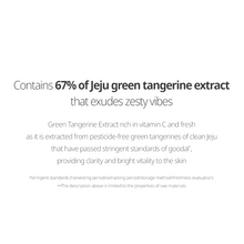 Load image into Gallery viewer, Green Tangerine Vita C Dark Spot Care Cream
