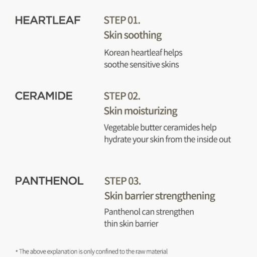 Heartleaf Cream Mask Night Solution